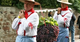Winzerzug-2011-01